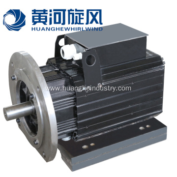 Electric-starting Permanent Magnet Synchronous Motor